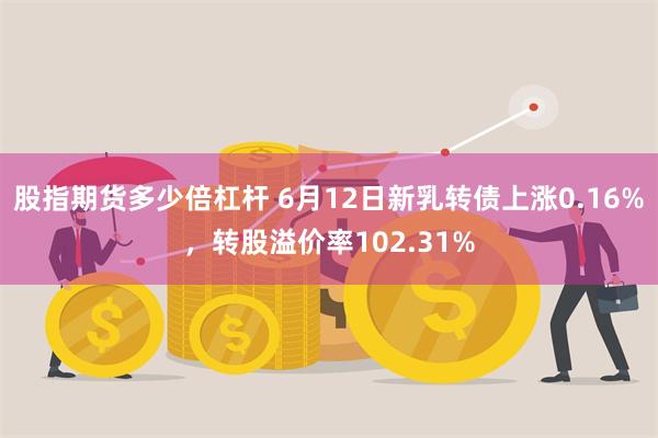 股指期货多少倍杠杆 6月12日新乳转债上涨0.16%，转股溢价率102.31%