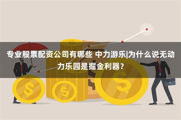 专业股票配资公司有哪些 中力游乐|为什么说无动力乐园是掘金利器？