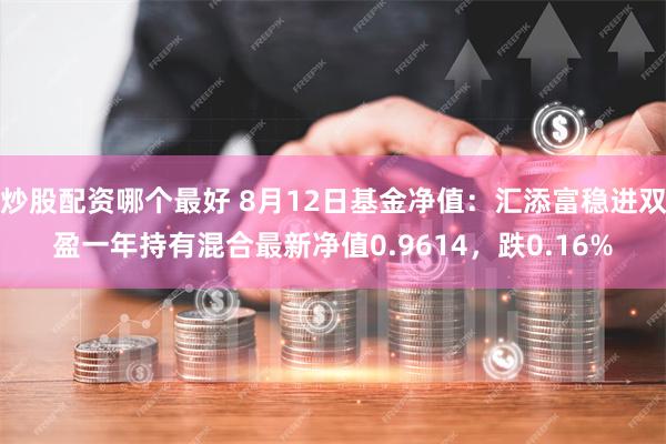 炒股配资哪个最好 8月12日基金净值：汇添富稳进双盈一年持有混合最新净值0.9614，跌0.16%