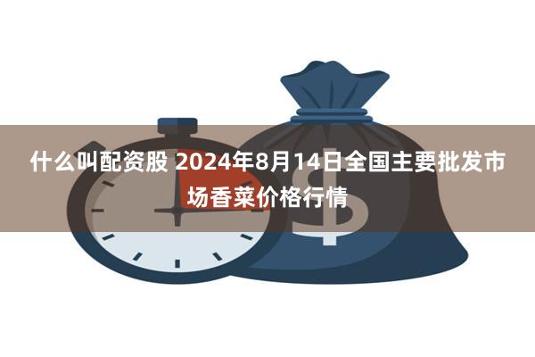 什么叫配资股 2024年8月14日全国主要批发市场香菜价格行情