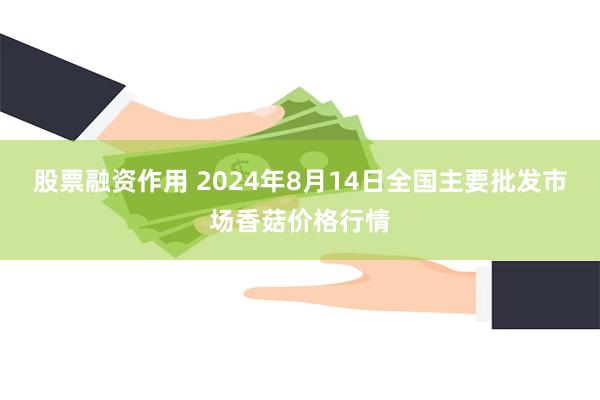 股票融资作用 2024年8月14日全国主要批发市场香菇价格行情