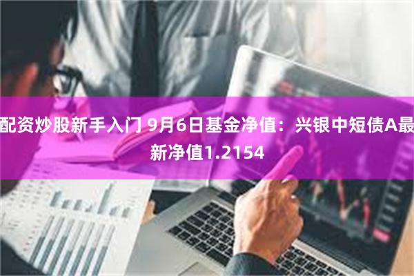 配资炒股新手入门 9月6日基金净值：兴银中短债A最新净值1.2154