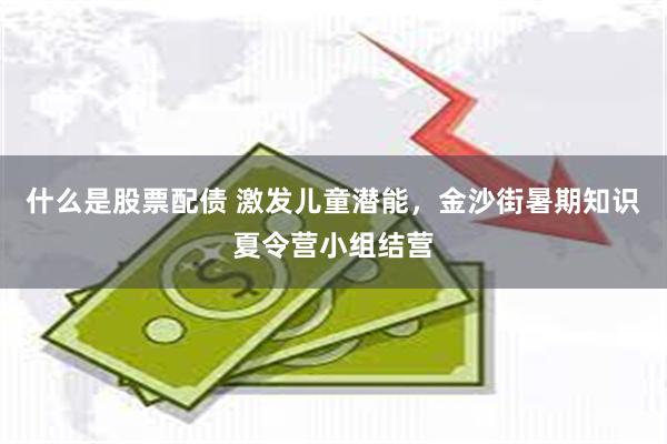 什么是股票配债 激发儿童潜能，金沙街暑期知识夏令营小组结营