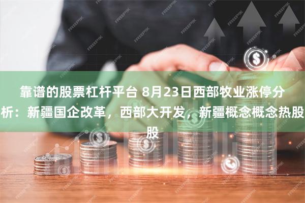 靠谱的股票杠杆平台 8月23日西部牧业涨停分析：新疆国企改革，西部大开发，新疆概念概念热股