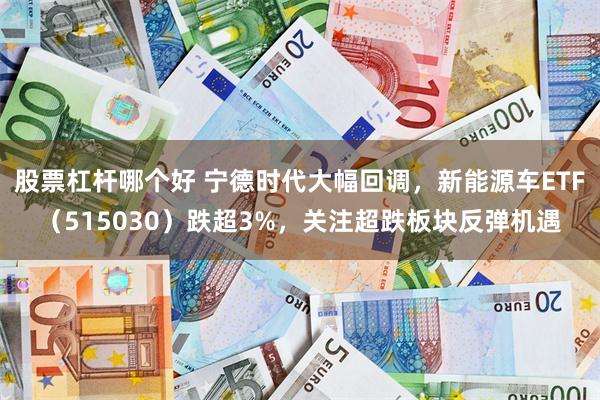 股票杠杆哪个好 宁德时代大幅回调，新能源车ETF（515030）跌超3%，关注超跌板块反弹机遇