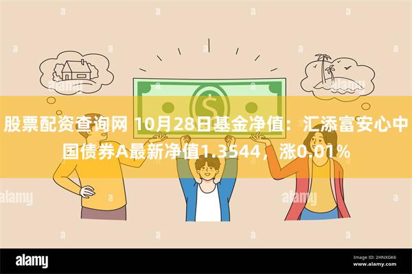 股票配资查询网 10月28日基金净值：汇添富安心中国债券A最新净值1.3544，涨0.01%