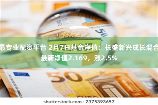 最专业配资平台 2月7日基金净值：长盛新兴成长混合最新净值2.169，涨2.5%