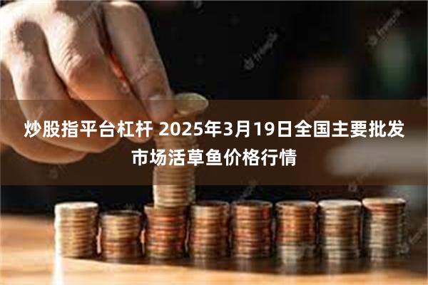 炒股指平台杠杆 2025年3月19日全国主要批发市场活草鱼价格行情